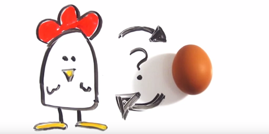 uovo gallina