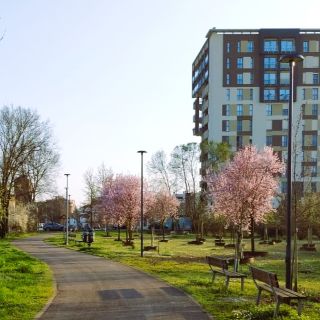 IlluminazioneBoscodellaMemoria