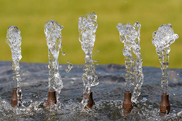 acqua