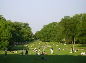 Gli_alberi_ascoltano_musica