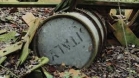 ecoreati